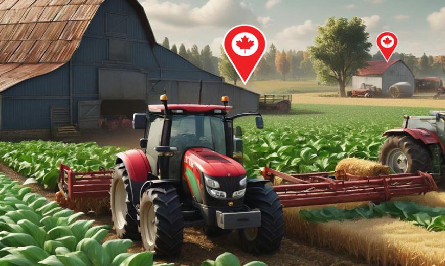 The Vital Role of Farming in Ontario: Nurturing Economy and Life